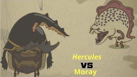 Moray vs Hercules || Wild Tamer #126 || (Android,ios) Gameplay - Walkthrough