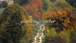 a gentle september morning for quiet minds 🍁 soft piano for studying & writing screenshot 5