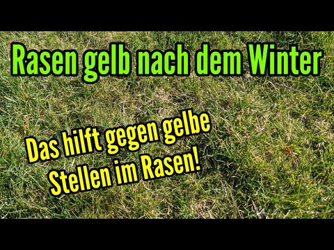 Video: Warum wird mein Gras gelb?