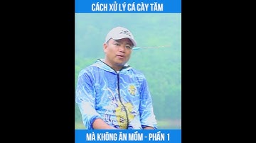 CÁCH XỬ LÝ CÁ CÀY TĂM MÀ KHÔNG ĂN MỒM - PHẦN 1