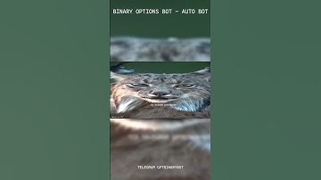 POCKET OPTION AI TRADING BOT 2025: Live Proof: Watch This AI TRADING BOT Make $500 In 1 Hour #short