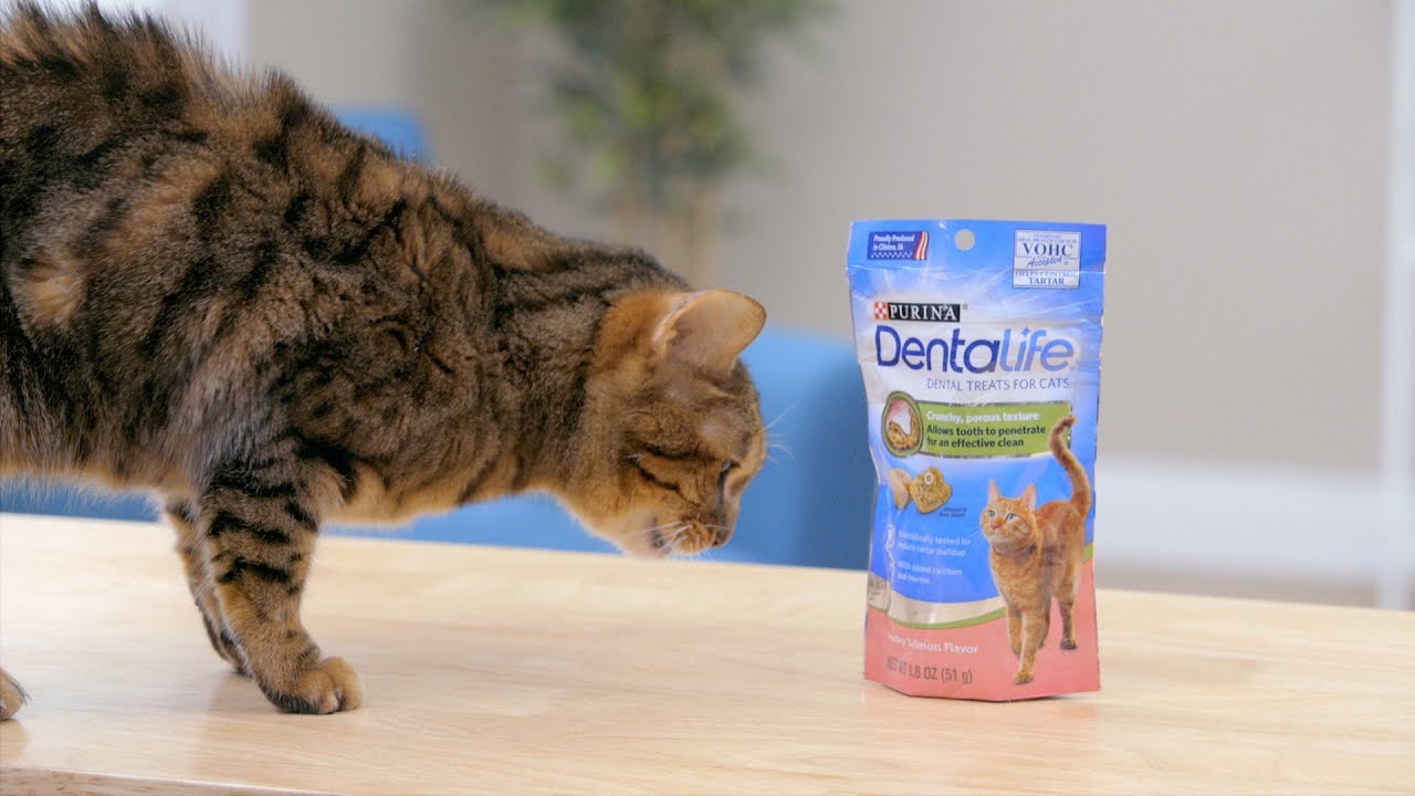 purina dentalife cats