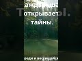 Броди и восхищайся -Тайны Саскачевана."Забытые тропинки". #природаканады #ТайныеТропинки#Природа
