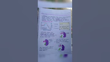 Enzymes class 11 biology