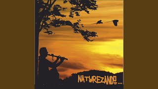 Video thumbnail of "George Lucena - Naturezando"