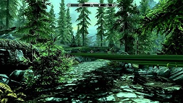 Skyrim Graphics Problem