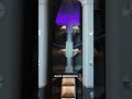 Camas en clase económica: la revolución de Air New Zealand para volar