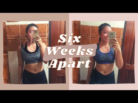 a 6-week body transformation (home workouts + no diet)