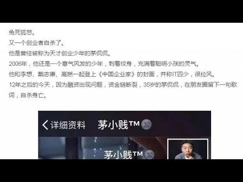 茅侃侃自杀：在公司死之前，他选择了死