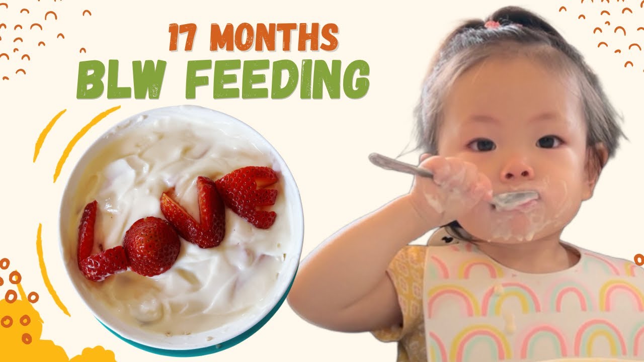 Baby Led Weaning BLW Feeding BLW Meal17 Months Baby Eating Food Eat baby-led-weaning-blw-feeding-blw-meal17-months-baby-eating-food-eat
