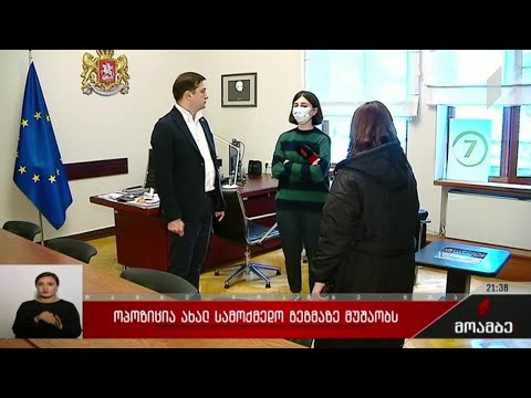 ოპოზიცია ახალ სამოქმედო გეგმაზე მუშაობს