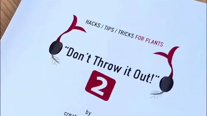 10 Kitchen/Cooking Hacks | creative explained