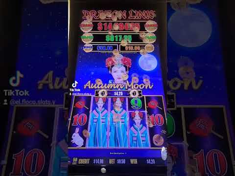 💥 Convirtiendo $100 en $1000 en el Casino Jugando las Mejores Máquinas ¿Se Podrá Lograr?