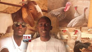 Agrostock In Just 8 Months They See Their Dream Come True With Success