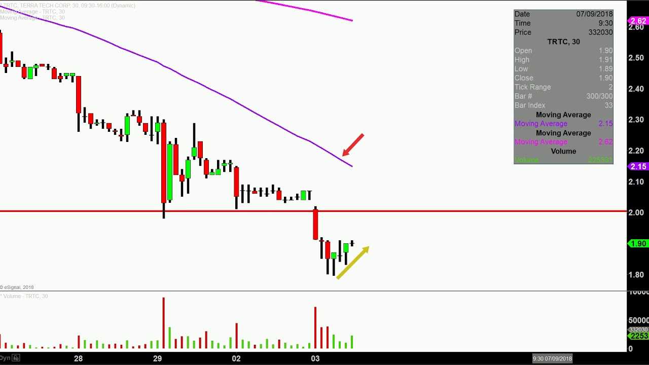 Terra Tech Stock Chart