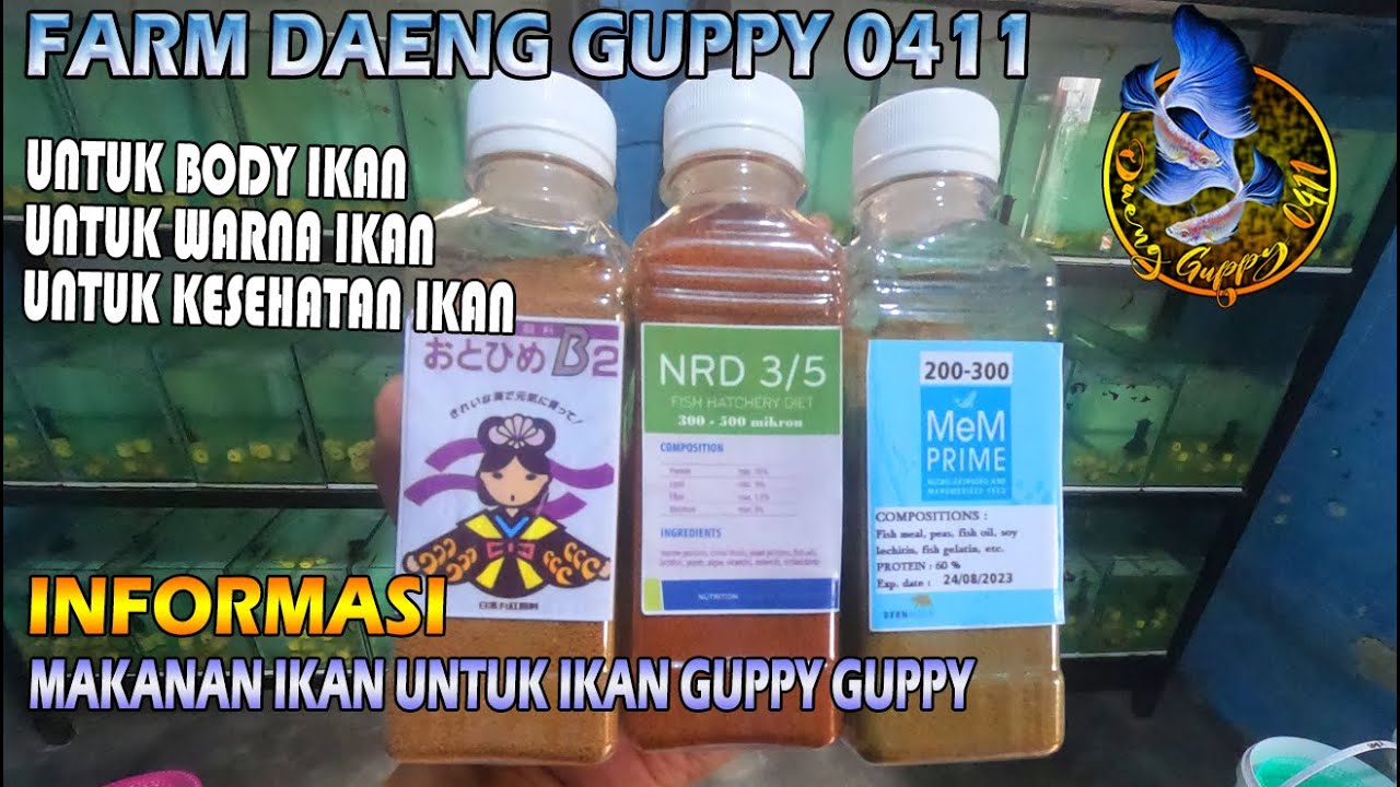 MAKANAN IKAN GUPPY OTOHIME, NRD DAN MEM PRIME