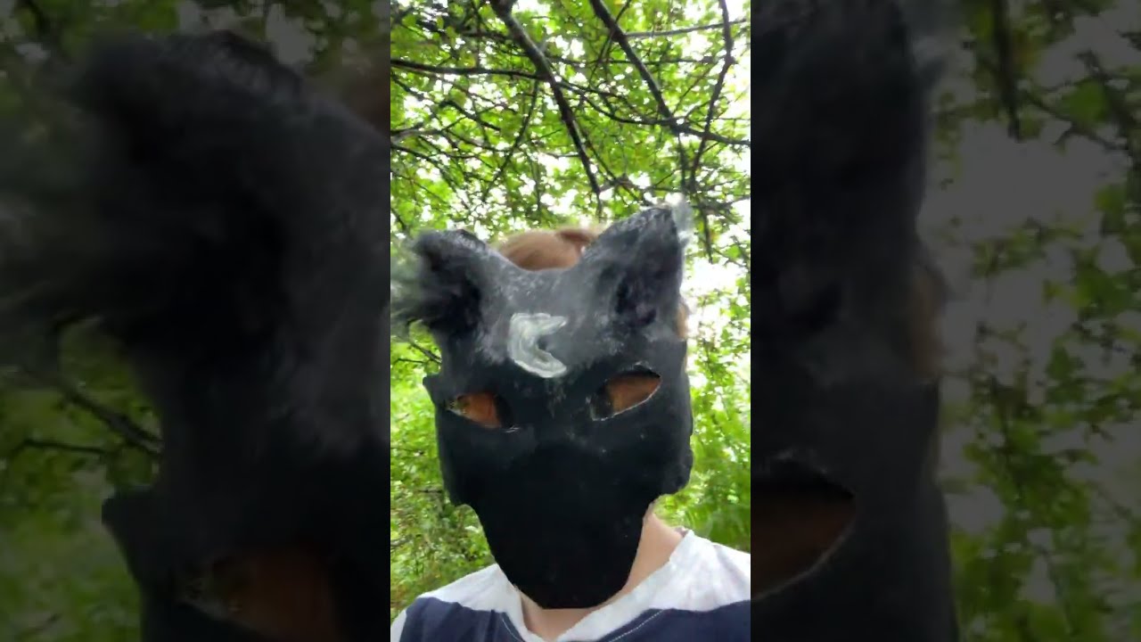 Meow 3 Shifts Therian Fox Cat Woods