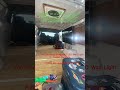 Van Electrical Progress | LED Wall Light Install Complete