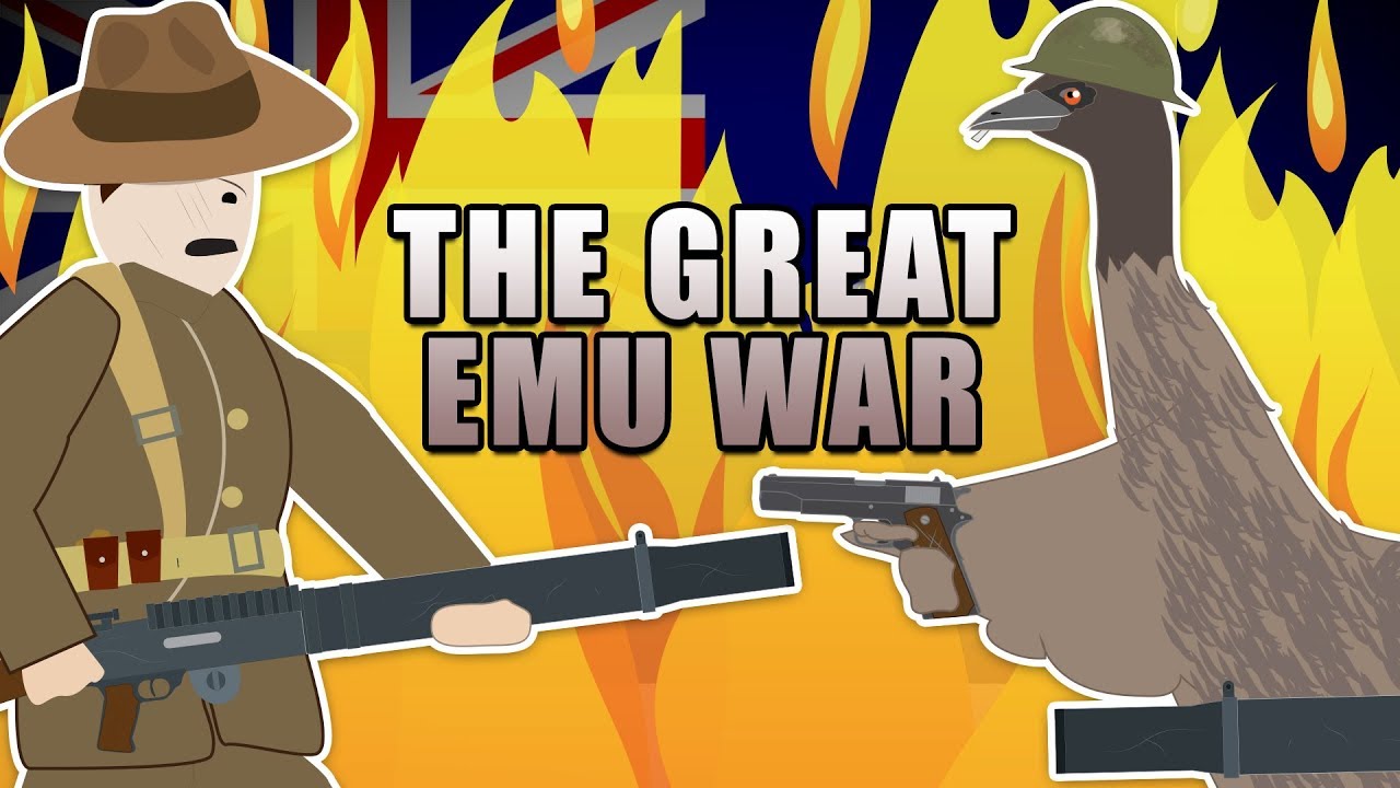 The Great Emu War 1932 Weird Wars Youtube