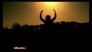 Silhouettes Experiment