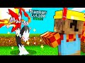 PORTO STARTER SHINY AL LIVELLO 100 NELLA PIXELMON SU MINECRAFT ITA!!