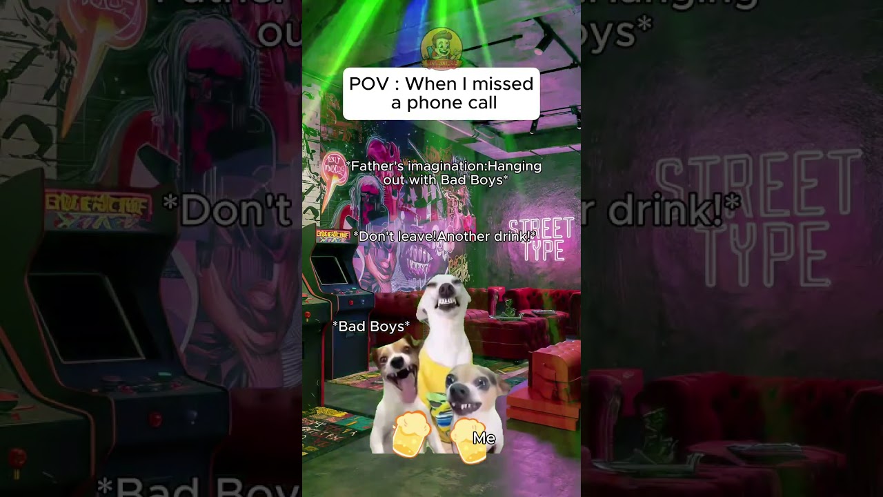 Cat memes 🐱 When I missed a phone call 