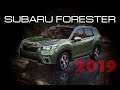 Subaru Forester and Forester Sport 2019