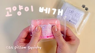 Making a Squishy Cat Pillow!(Stationery Find Part 2)😻 | No Template DIY