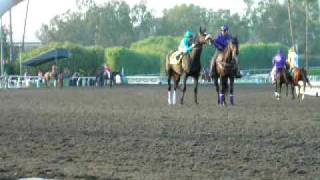 Zenyatta and Mike Smith, gate, 2009 Breeders' Cup Classic