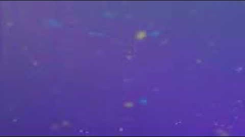 سورة الحشر بصوت الشيخ القارئ سعد الغامدي