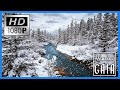 ⛄💦 AGUA Fluyendo en BOSQUE Nevado ▶ Sonidos RÍO en INVIERNO 🌲💦 [8 HORAS]