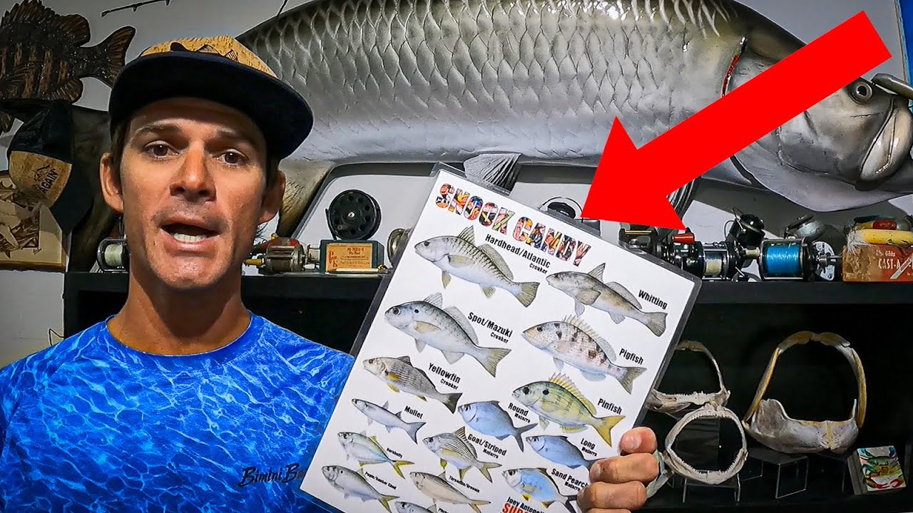 Best Fishing Baits! - SNOOK CANDY! 