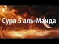 Сура 5 «аль-Маида». Трапеза. Мишари Рашид