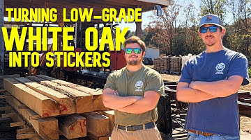 The Last of the White Oak (Pt.3): Cutting, Sorting, and Stacking. 