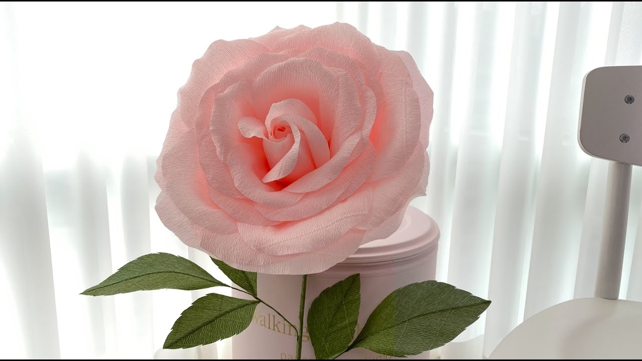 [월간 플라워] 2월 Giant flower