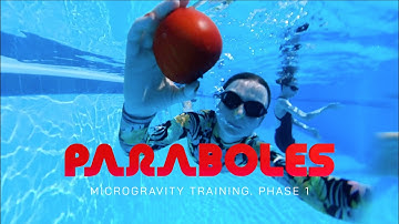 Inside Our Microgravity Training | PARABOLES