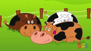 Buenos días sr gallo