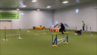 Ben at the CPE Trial 3/4/23 - Jumpers Level 2 (Q)