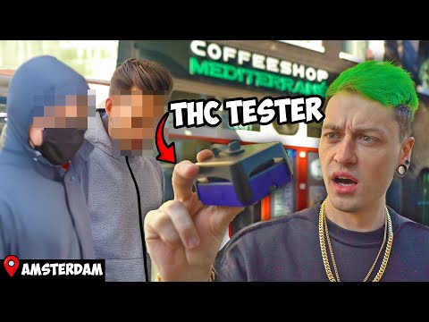 How Strong Is Amsterdam's Bud? Testing The Publics THC% #2