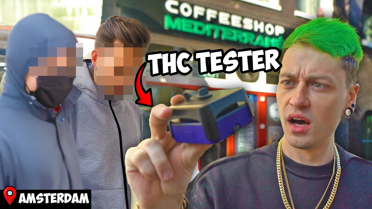 How Strong Is Amsterdam's Bud? Testing The Publics THC% #2