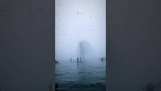 Fog vibe from Shikotan island Russia 🇷🇺