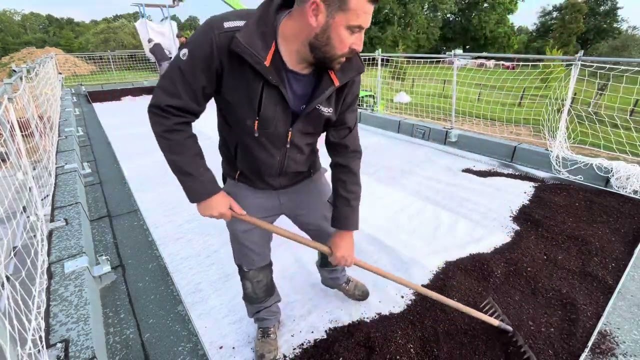 Comment végétaliser un toit-terrasse – Étape par étape