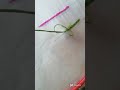chain stitch hand embroidery work for beginners #shortvideo #short