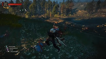 The Witcher 3 Enhanced Edition + Lazarus Project - W3EE v4.93 (Scoia