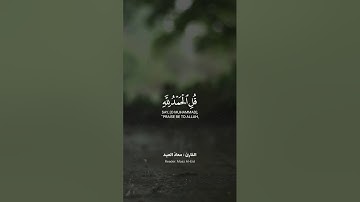قل الحمد لله وسلام على عباده الذين اصطفى، تلاوة خاشعة للقارئ #معاذ_العيد #قرآن #quran #اكسبلور
