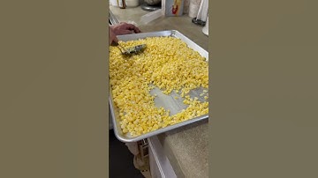 Freezing Sweet Corn off the Cob #shorts