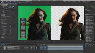 Continuum 11 - Primatte Studio Overview