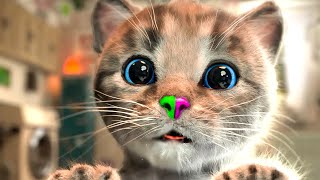 SPECIAL LITTLE KITTEN ADVENTURE - SUPER GAMES AND FUN CARTOON CAT - CAT CARE LONG SPECIAL screenshot 4