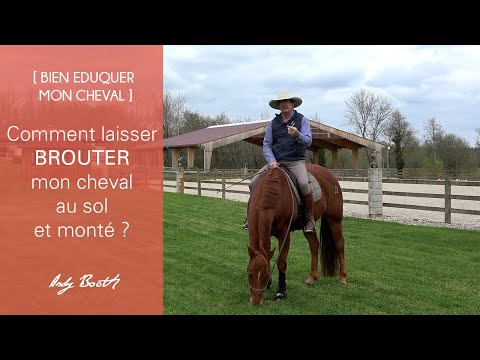 [EDUCATION] Comment laisser brouter mon cheval au sol et monté ?