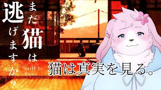 【まだ猫は逃げますか？】一匹の猫は何を見るのか。【#ケモノVtuber】